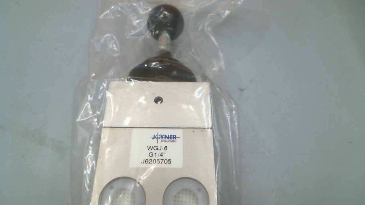 WGJ-6 G1/4"