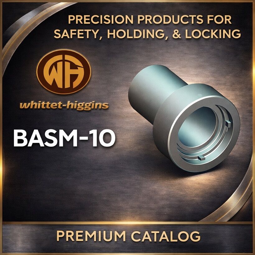 BASM-10
