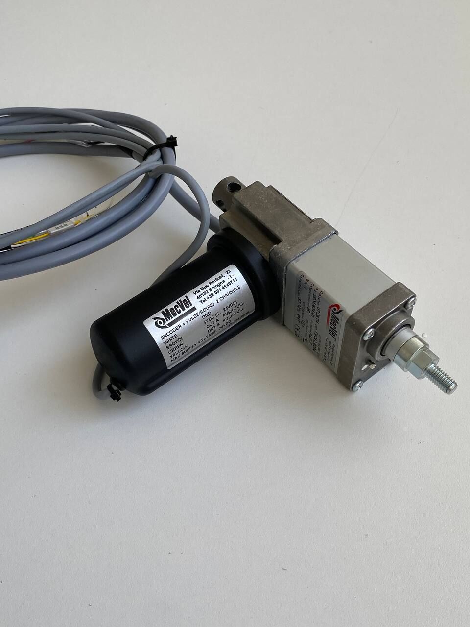 PP042.0294 / ALI1-F/0050/M00/24/M1/C00/P2/A9/0294