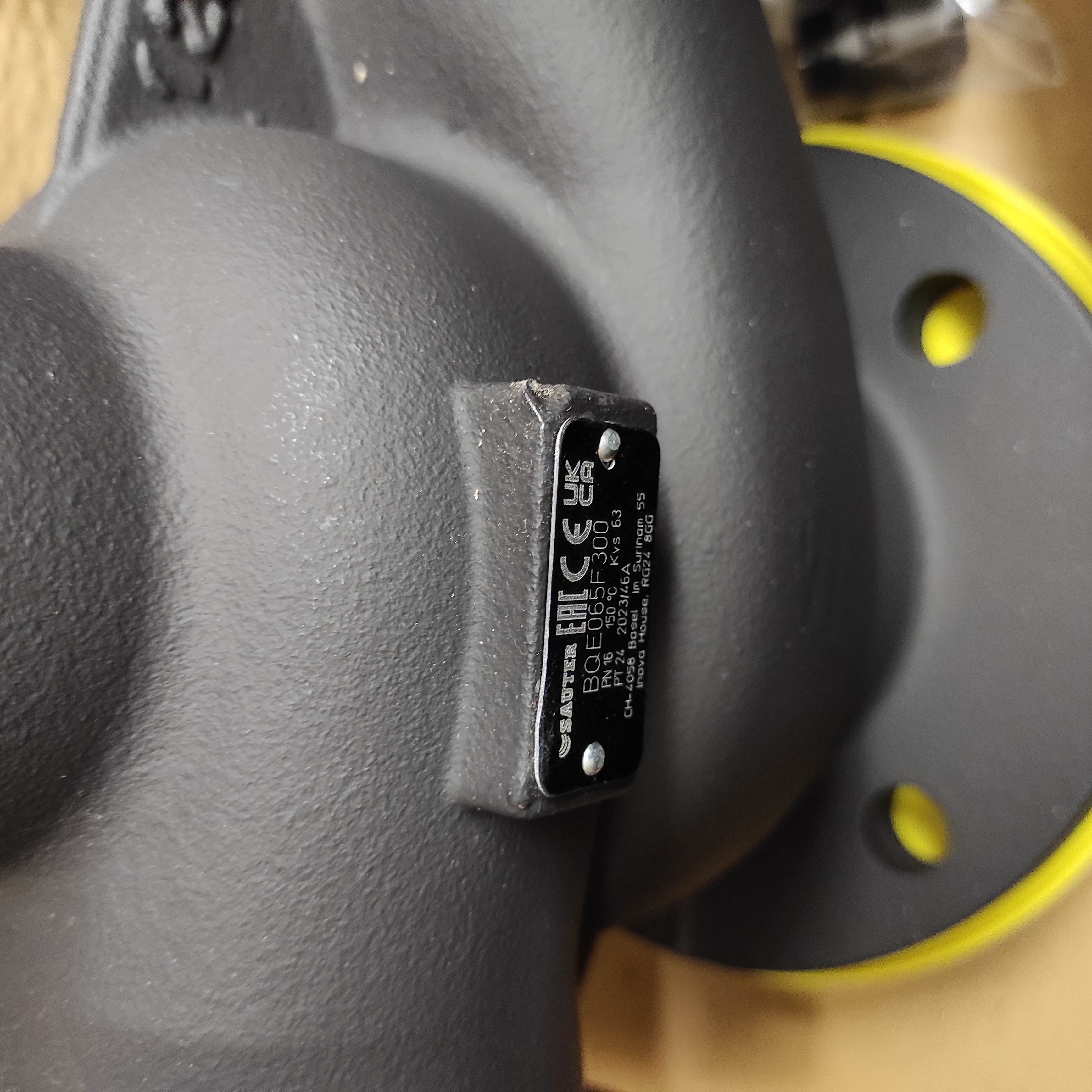 BQE065 F300 (PN 16 DN 65)