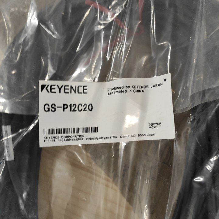 GS-P12C20