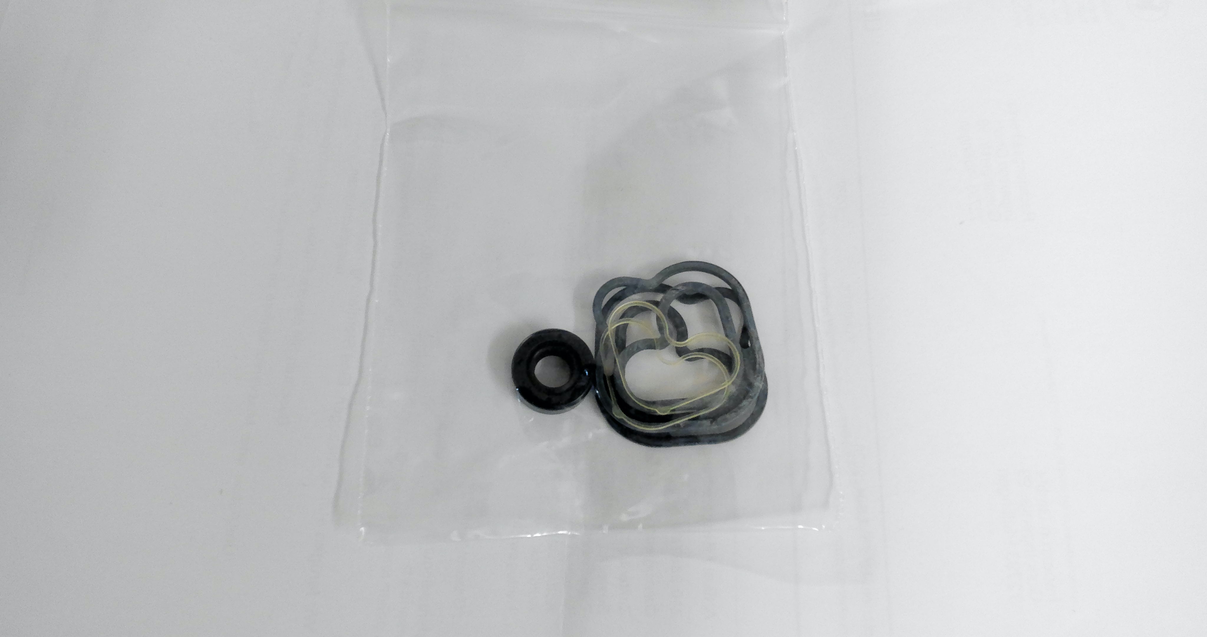 Seal kit pump 00