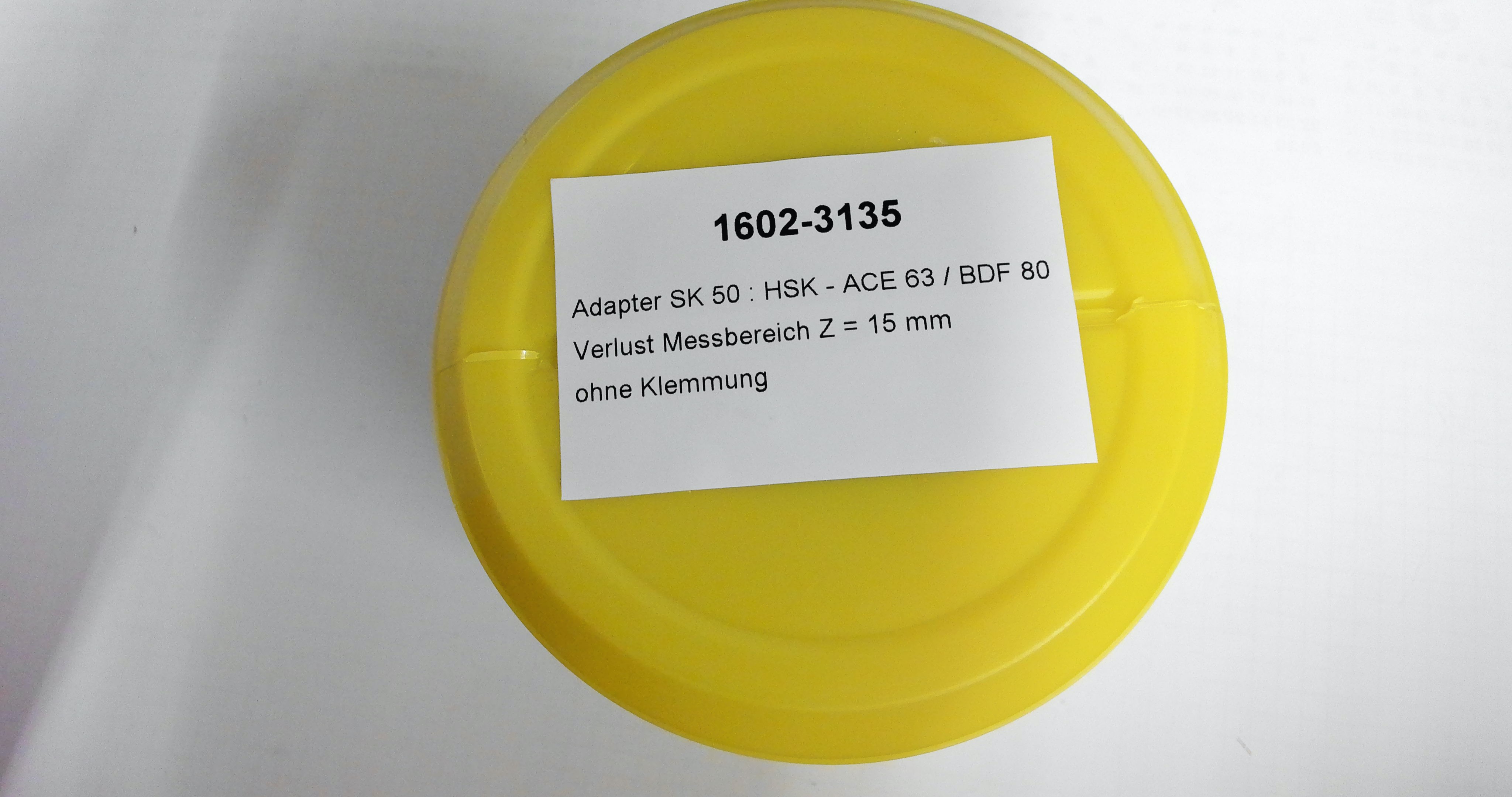 P231393