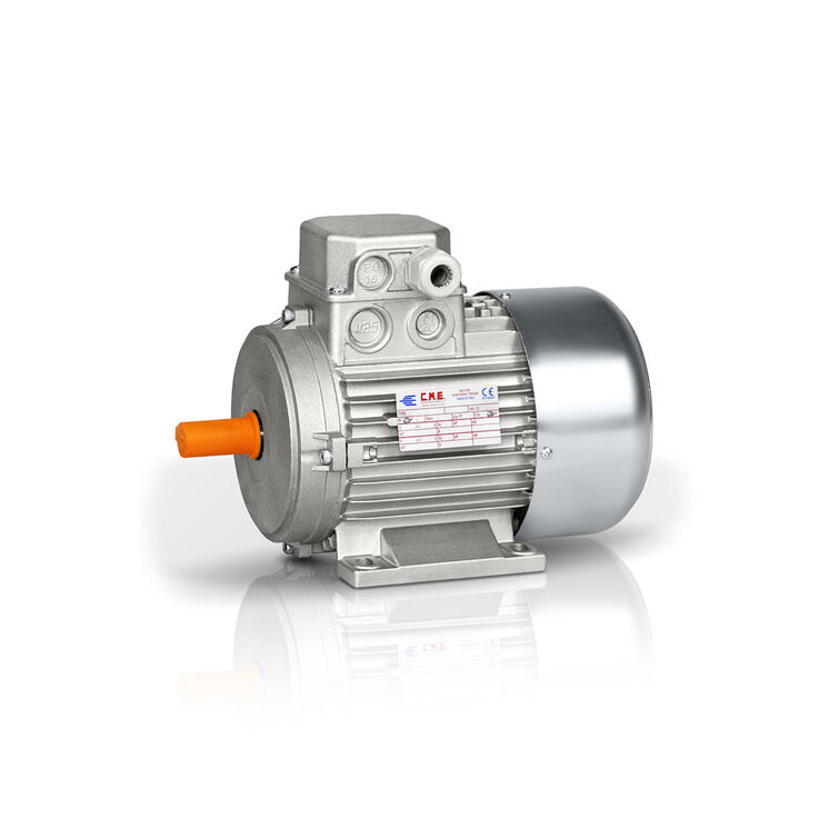 100 B3 230/400 V – 50 HZ