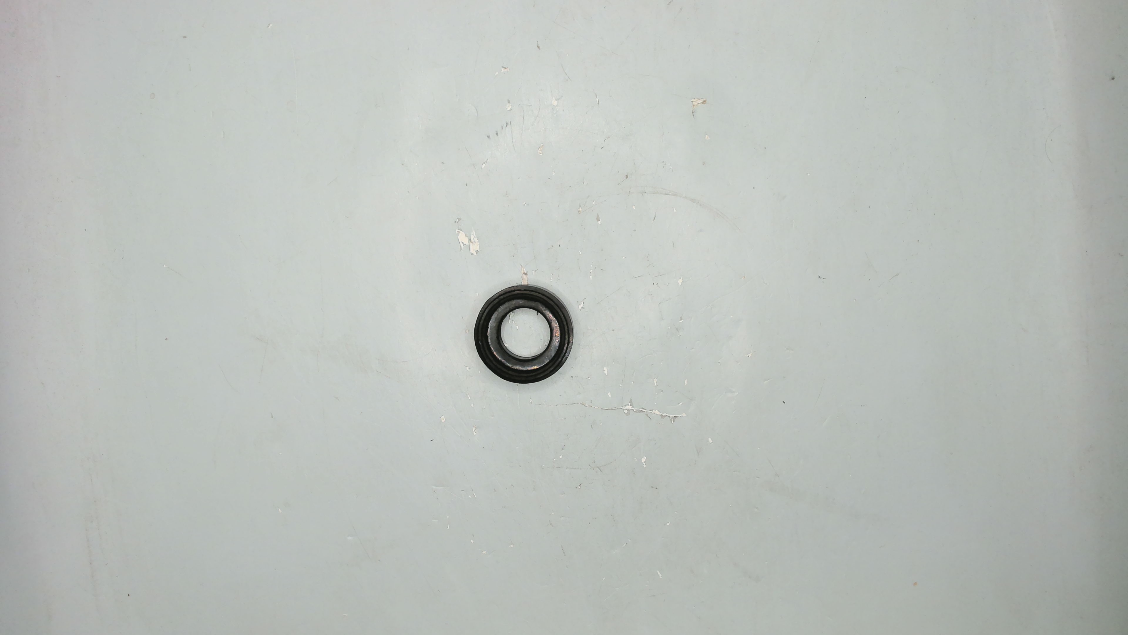 160 4016B DP-25 Valve Ball Seat, Buna-N / 3008569