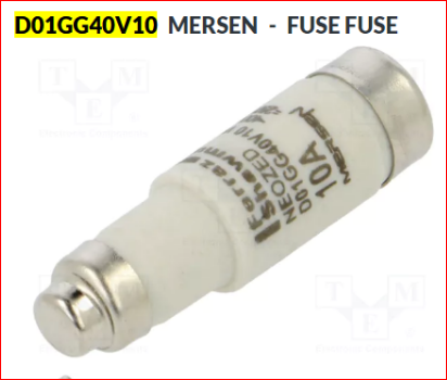 D01GG40V10 (10A)